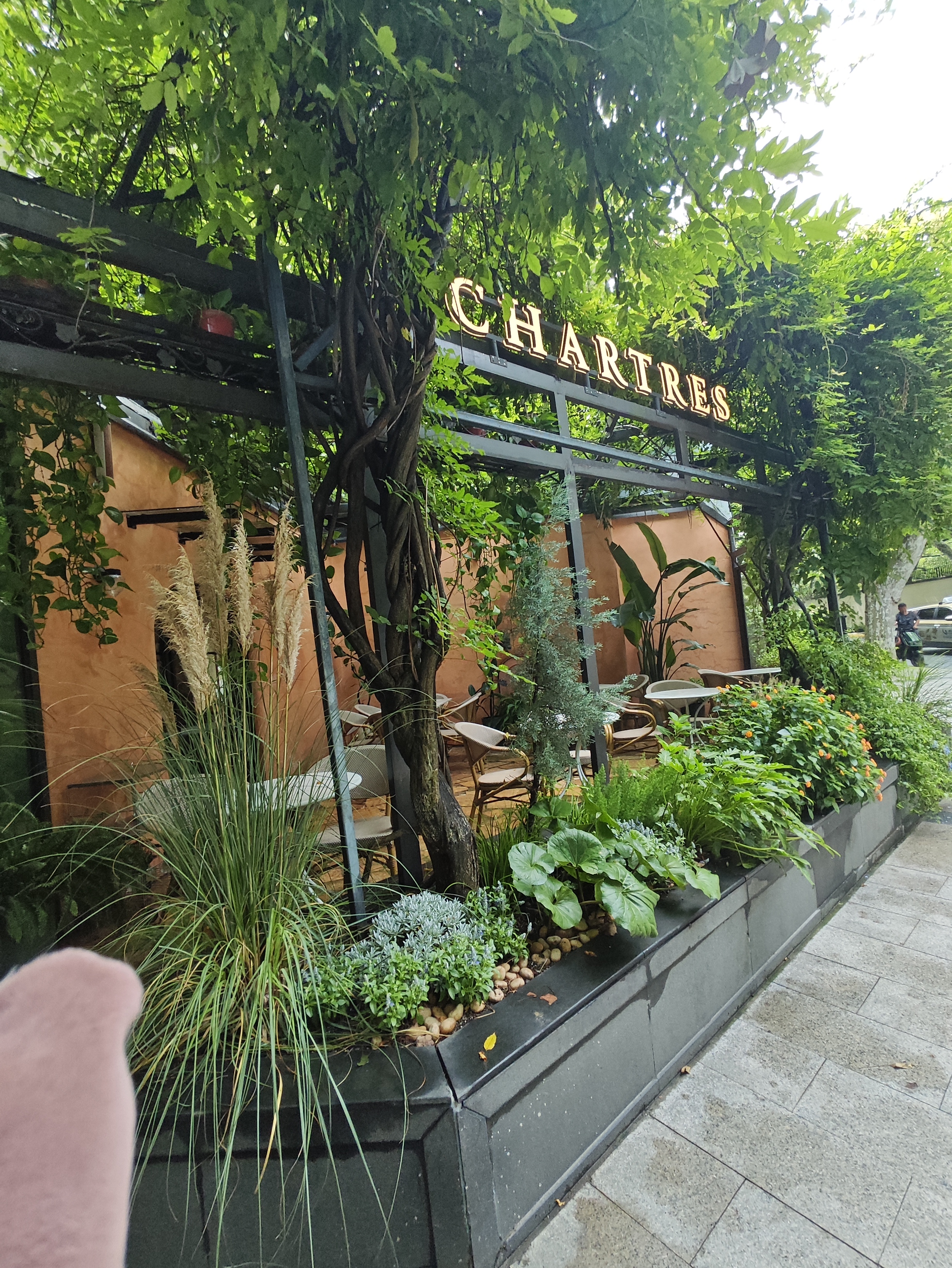 Metal planter and climbing plants beside a restaurant terrace