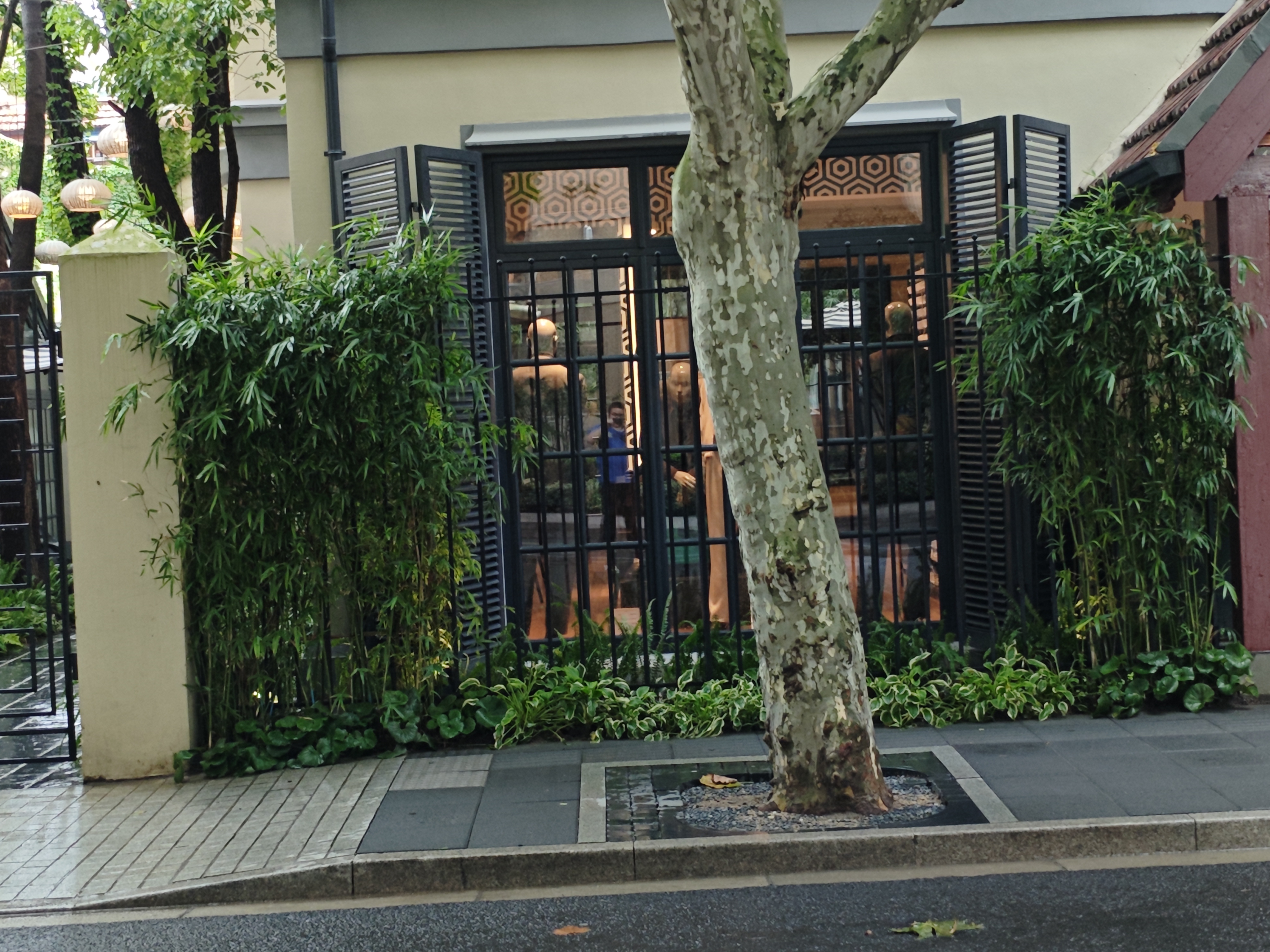 Black decorative iron fence around a shop garden with bamboo