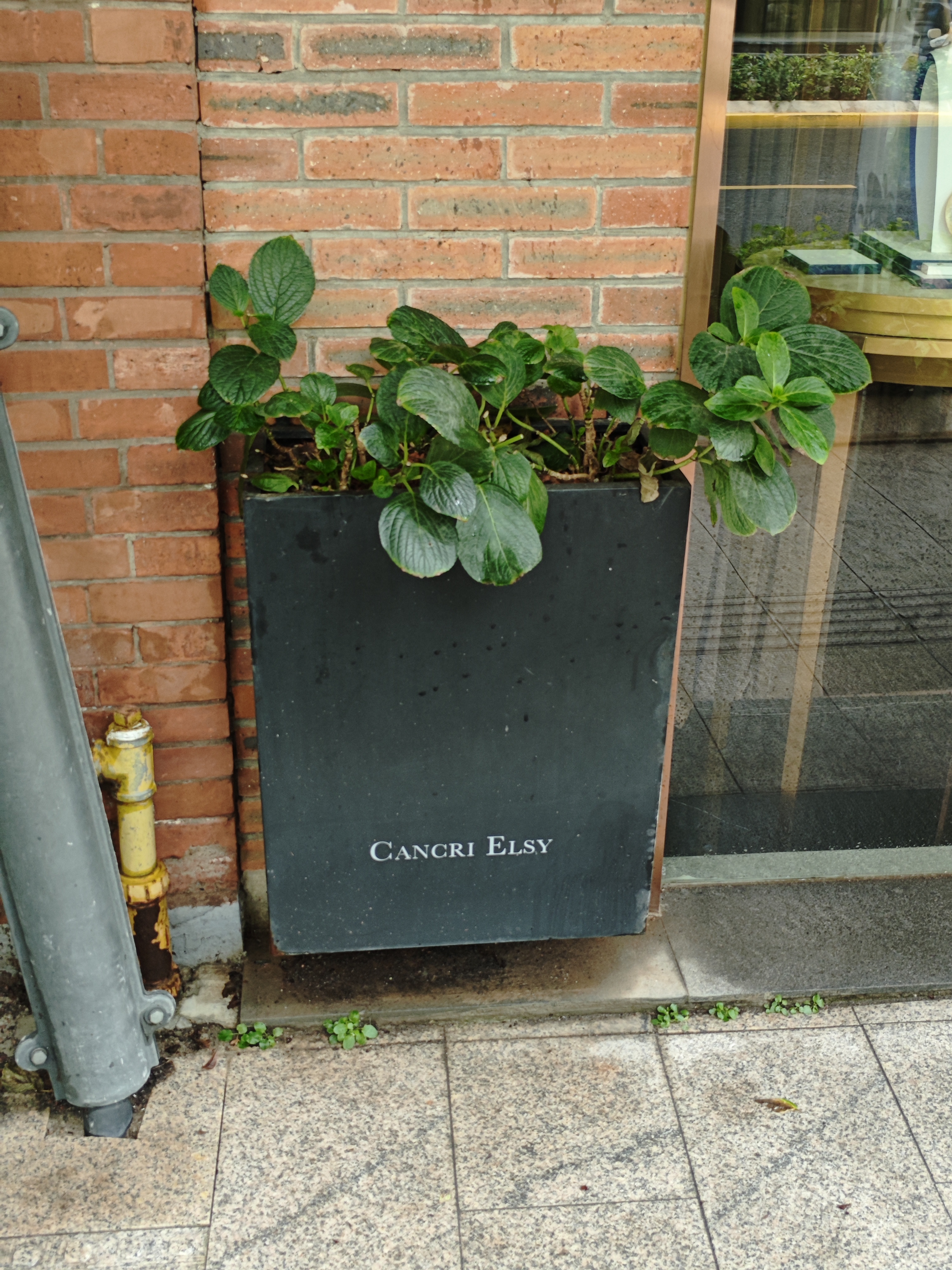 Dark metal planter with plants beside a brick wall